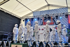 bild067