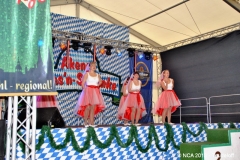 bild071