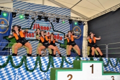bild093