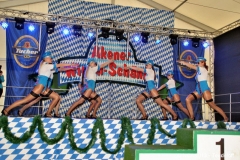 bild099