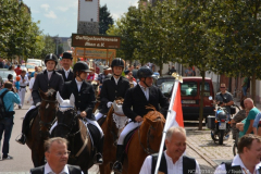 bild091